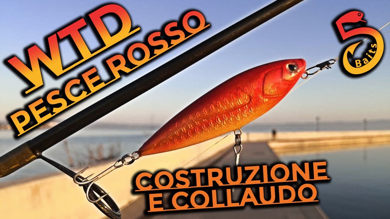 Wtd a Pesce Rosso | Costruzione, Collaudo e Cappotto con umiliazione!