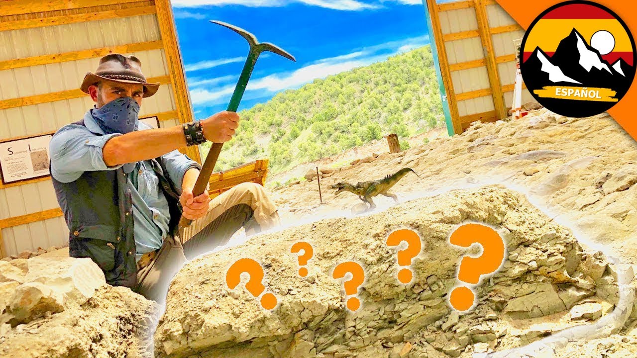 FUIMOS A UNA BÚSQUEDA DEL TESORO JURÁSICO | Brave Wilderness Español