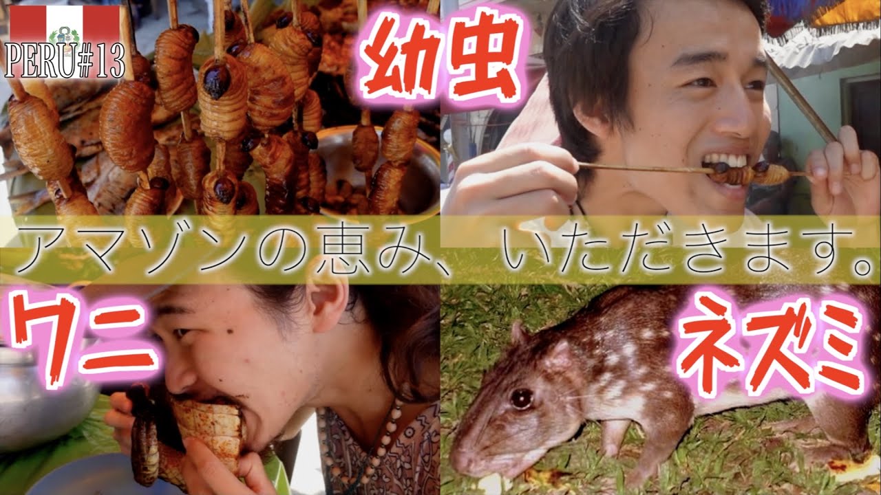 【食べる】ペルーアマゾンの料理を10食分紹介しちゃう動画。イキトスの食堂や屋台にて。幼虫・ワニ・ネズミ有り❤︎『世界196ヶ国 制覇の旅』