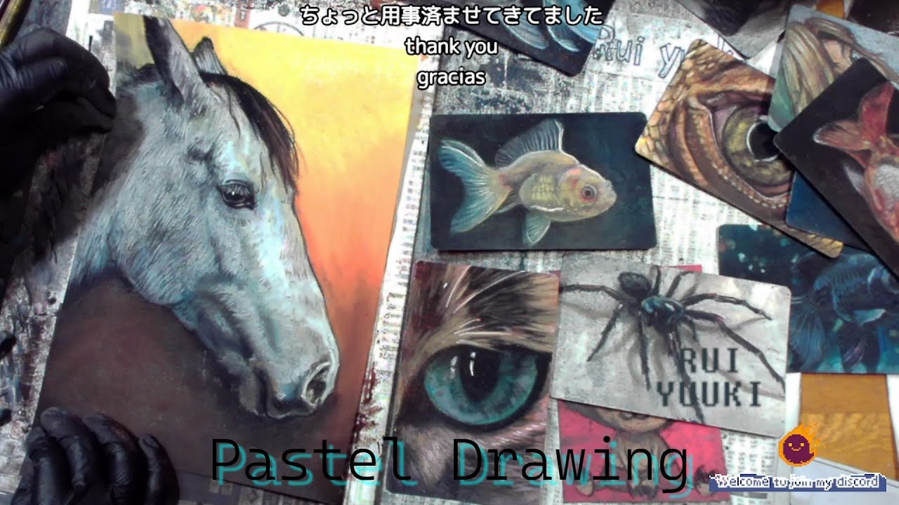 Healing Art That Conveys the Peaceful Expression of a White Horse/白馬の穏やかな表情を伝える癒しのアート