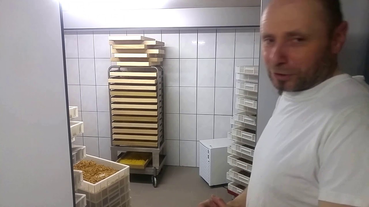 Interview Leopold Hammerl - Nudelproduktion