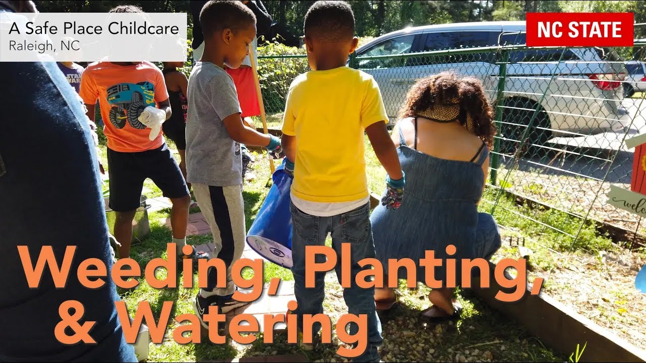 Weeding, Planting, & Watering