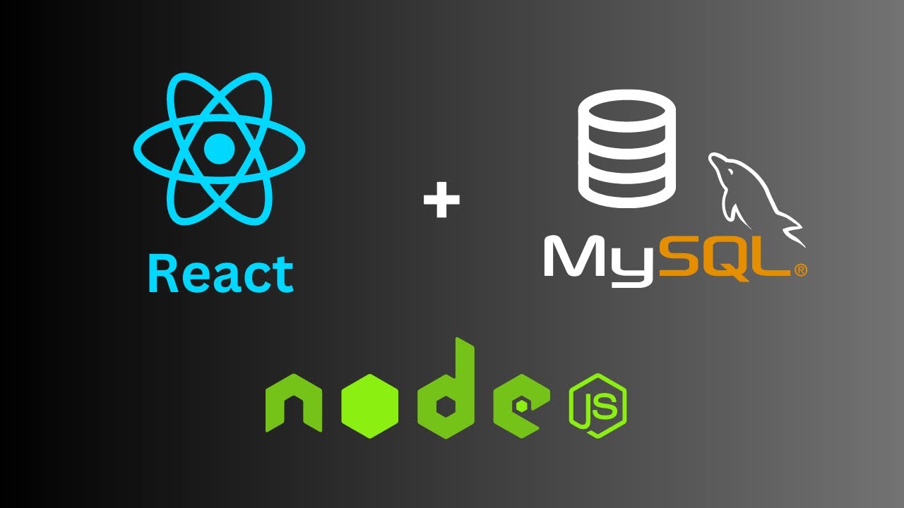 Как подключить React JS к базе данных MySQL с помощью Node.JS/Express.js