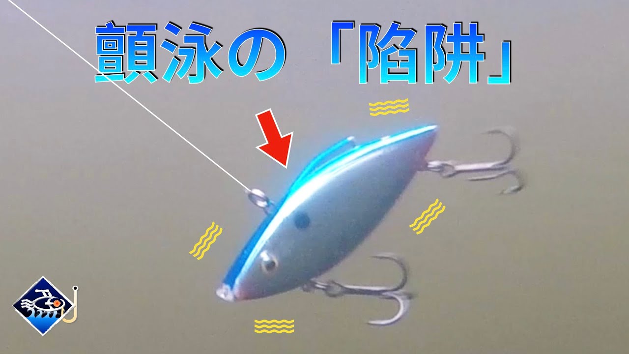 【你沒聽過的顫泳VIB教學】如何解鎖最實用的手法？水下鏡頭自己看