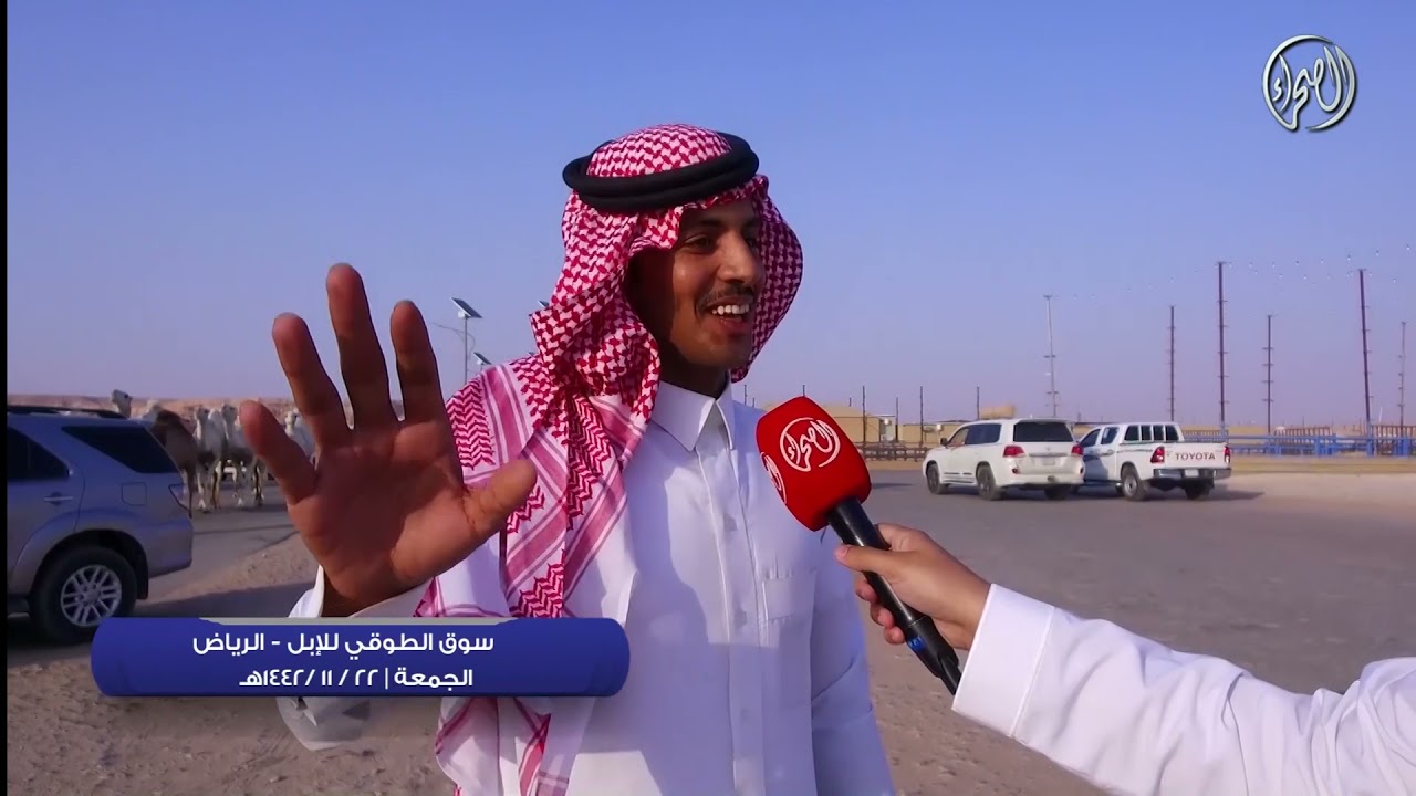 سوق الطوقي للإبل | الجمعة  22 / 11 / 1442 هـــ