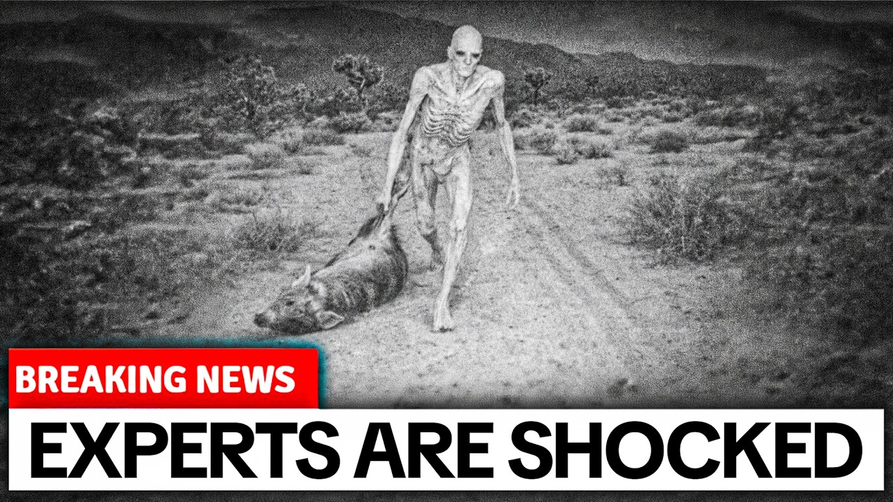 Footage From a Skinwalker Ranch Perimeter Sweep Reveals Something Deeply Disturbing