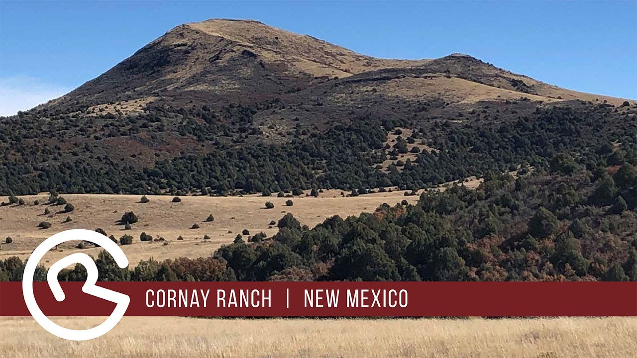New Mexico Land for Sale - Cornay Ranch: by Mason & Morse Ranch Company