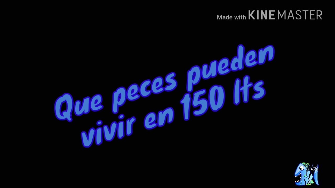 Que peces pueden vivir en 150 lts