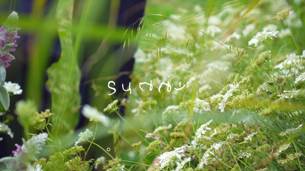 【山の上の花屋】ゆるりと流れる時間。6月のとある1日。