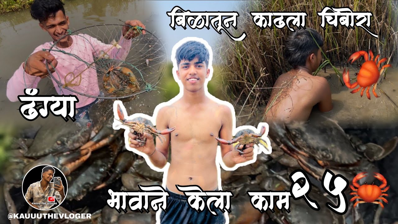 भावाने केला काम २५ , बिळातून काढला चिबोरा                            @MiBelpadkar-ganeshkoli 