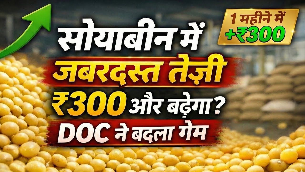 Soybean prices surge 💥 Will prices rise by another ₹300? Soya DOC is a game changer | Soybean Big...