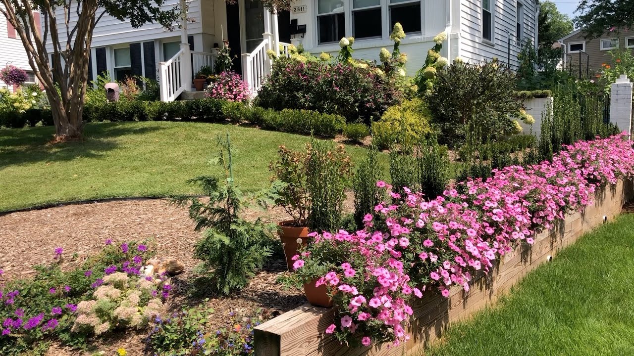 A Look Back At 2025 - Lots Of Plants, Projects and Growth // Dirt and Dish