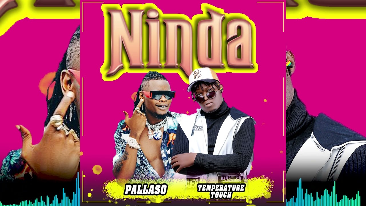 NINDA   TEMPERATUTRE TOUCH FT PALLASO