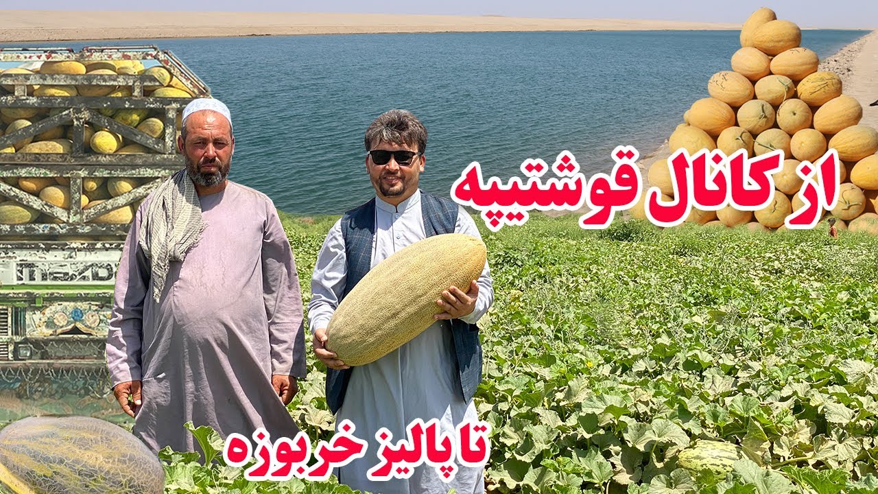 گزارش نظری،کانال قوشتیپه،پالیزخربوزه،روش جدید دهقانی،آب کانال قوشتیپه،حاصلات دهاقینafghan top