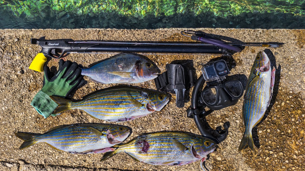 Catching Dinner With Small Speargun [Cressi 60cm] Spearfishing Croatia August 2025 4K 🇭🇷