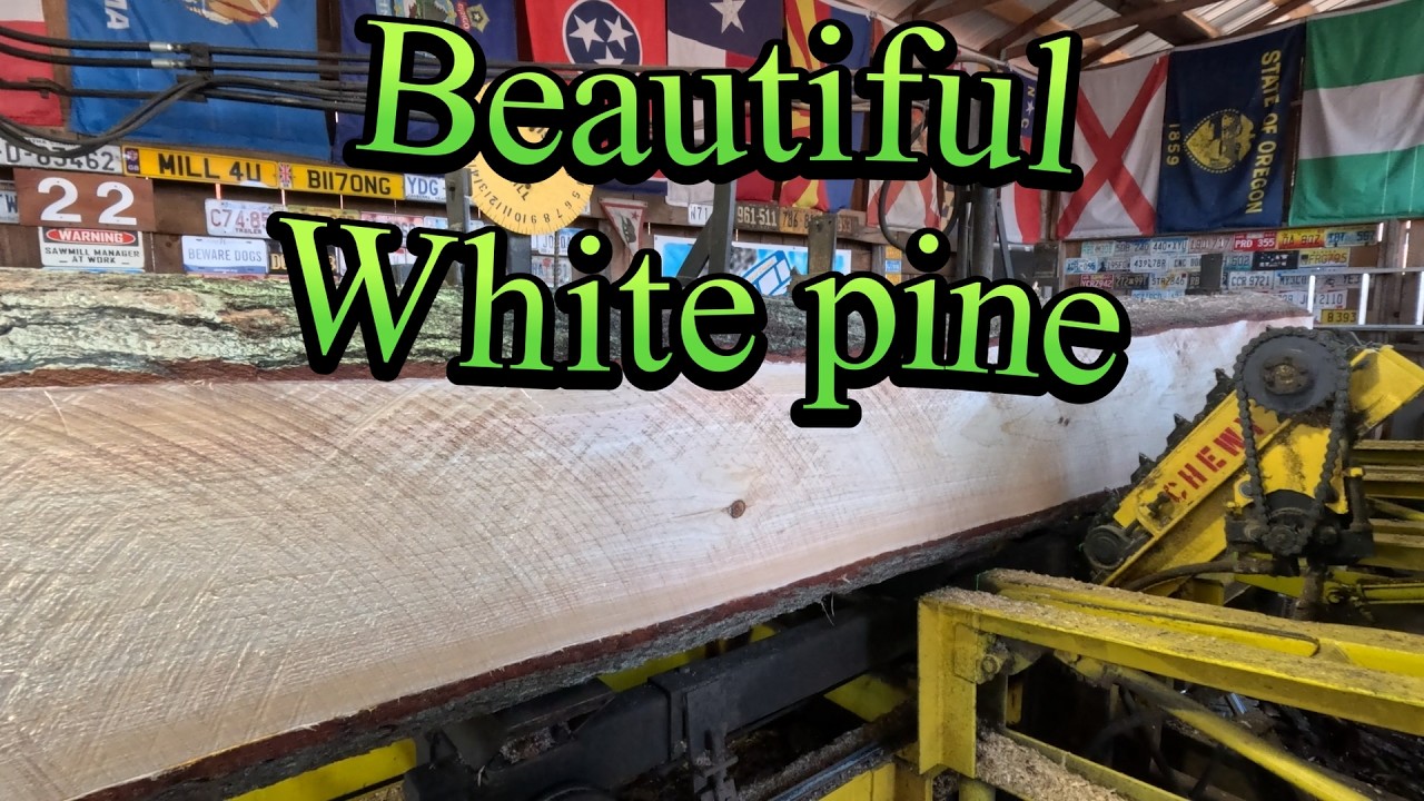 One beautiful white pine log # 836