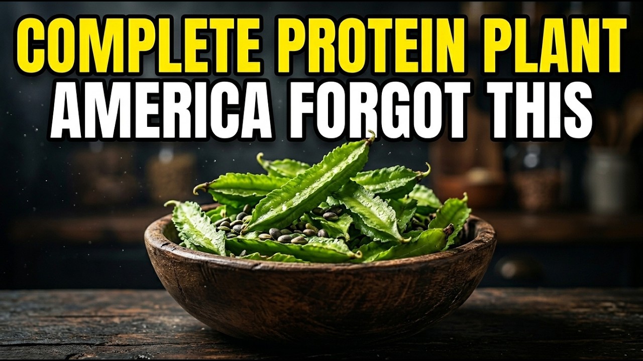 Better Than Soybeans: The Complete Protein Crop That Disappeared From American Gardens