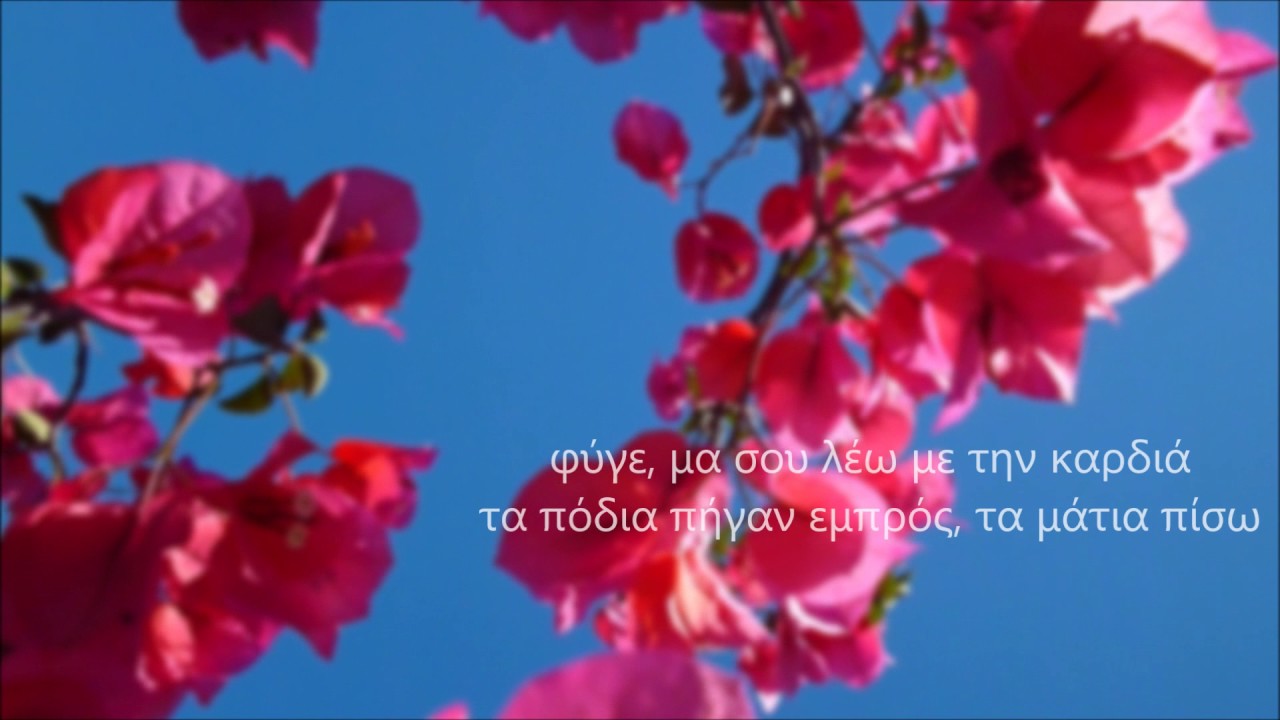 Agapimu fidela protini  - Χρυσάνθη και οι Φανταστικοί της Φίλοι