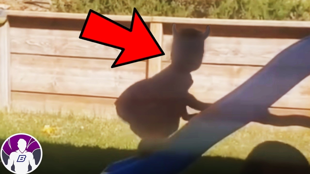 10 Videos Que Captaron Fallos En La Realidad