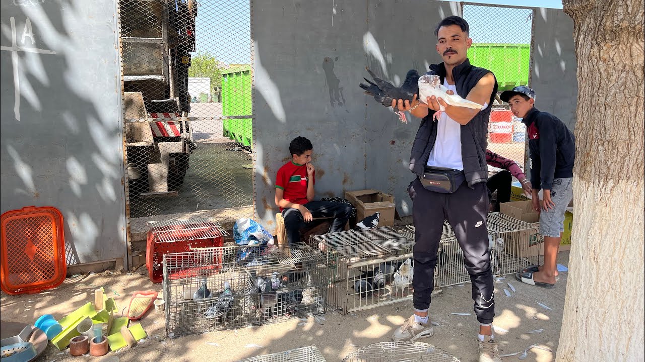 سوق الحمام 🕊️🕊️بمدينة مكناس 🇲🇦🇲🇦باب جديد فورجة 🤩🤩ممتع