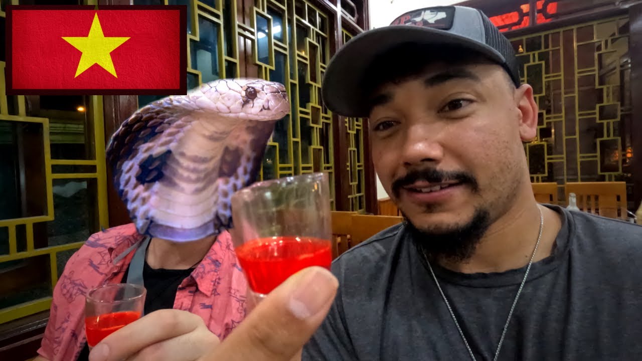 Drinking Cobra Blood!! 🇻🇳