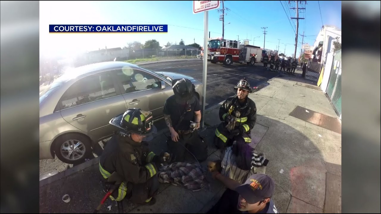 VIDEO: Oakland Firefighters Rush Into Burning Building To Save Puppies
