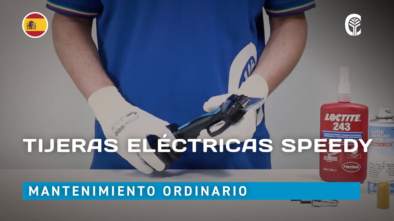 🇪🇸 Mantenimiento ordinario: CAMPAGNOLA SPEEDY
