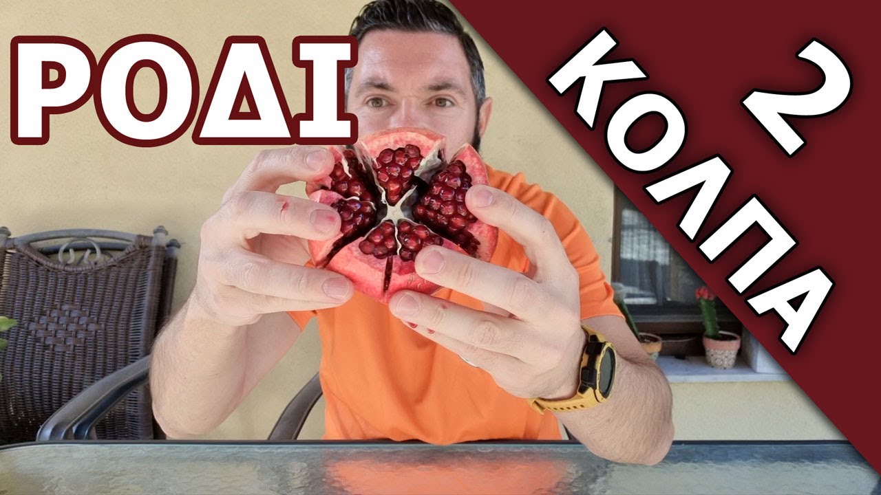 Το ρόδι και τα 2 κόλπα