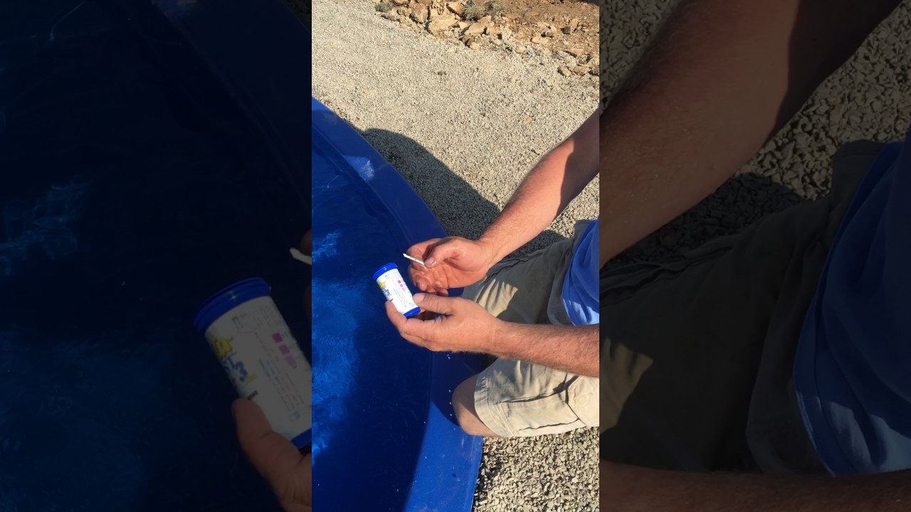 How to: Test Pool Water with Test Strips | Bob's Pools