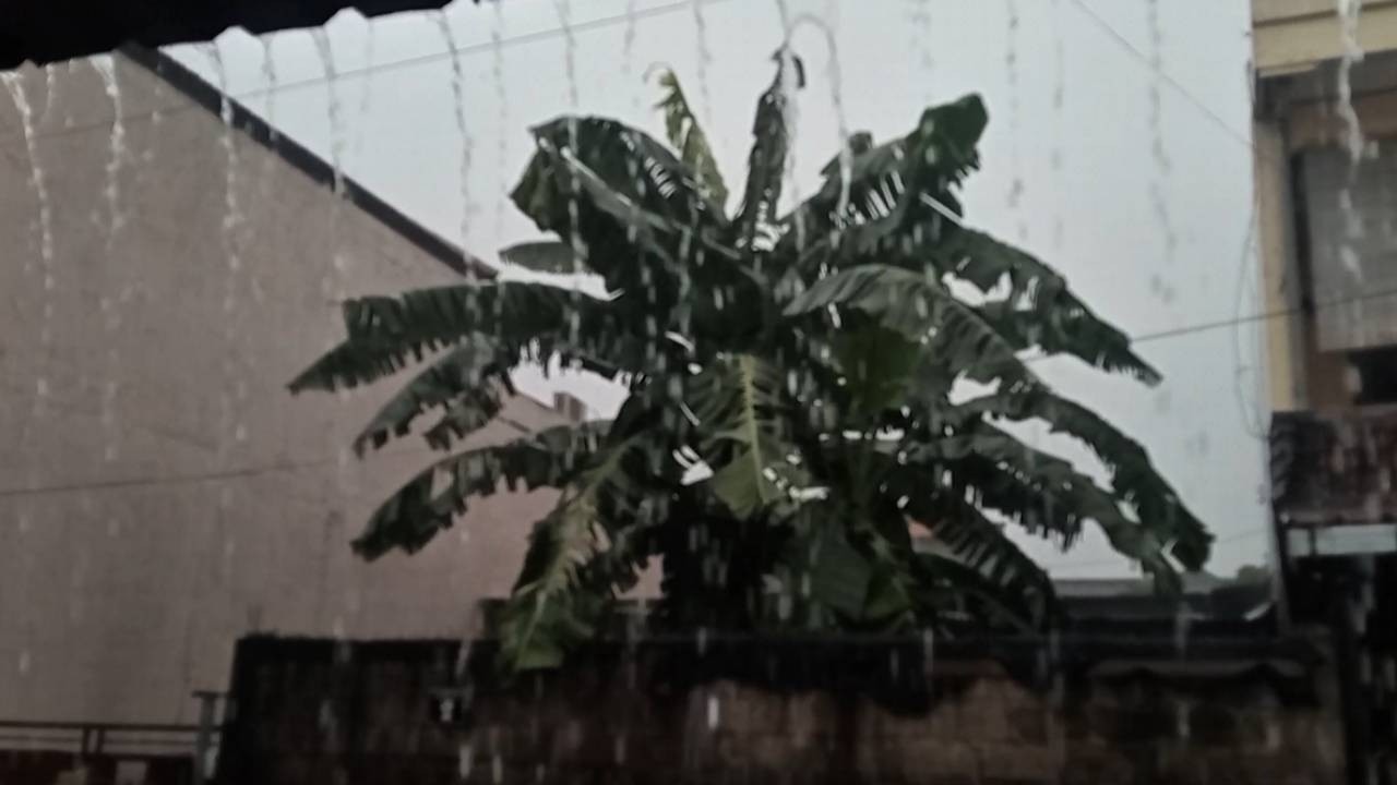 Heavy Rain Sounds for Sleeping - Howling Wind & Rain Sounds for Deep Sleep - Rainstorm Night