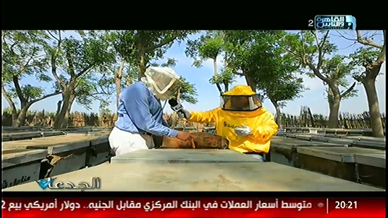 الجدعان | منحل المهندس محمد شانة ينتج 339 منتج من العسل