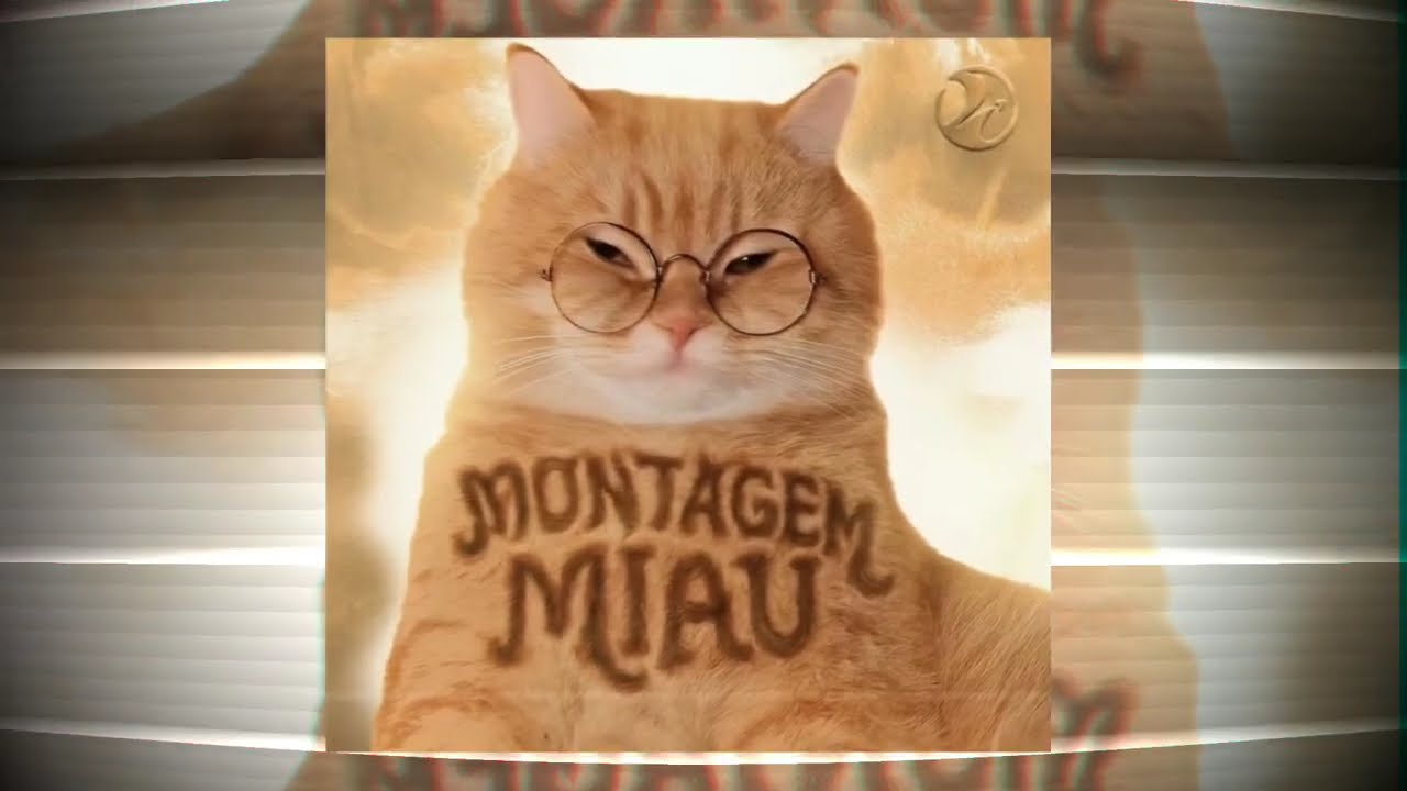 MONTAGEM MIAU [ALL VERSION]