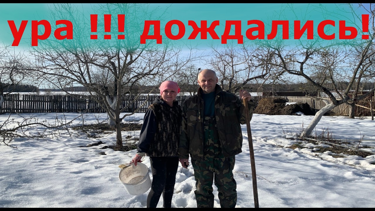 Опустели сараи. Наступили теплые деньки