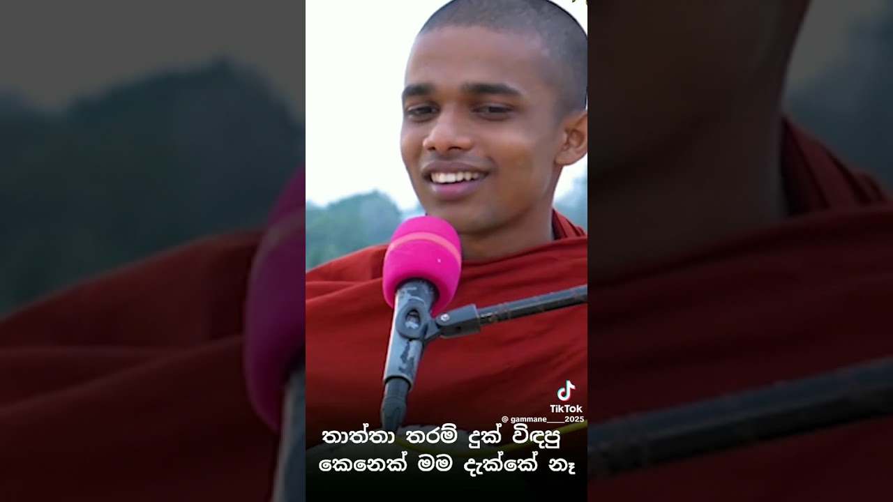 තෙරුවන් සරණයි 🙏🙏🙏