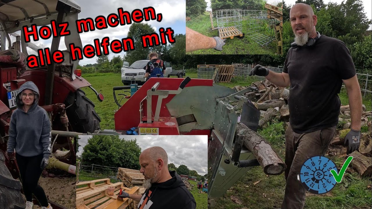 Holz machen, alle helfen mit | Collino Säge am Trecker | viel zu spät, zum glück Eiche |