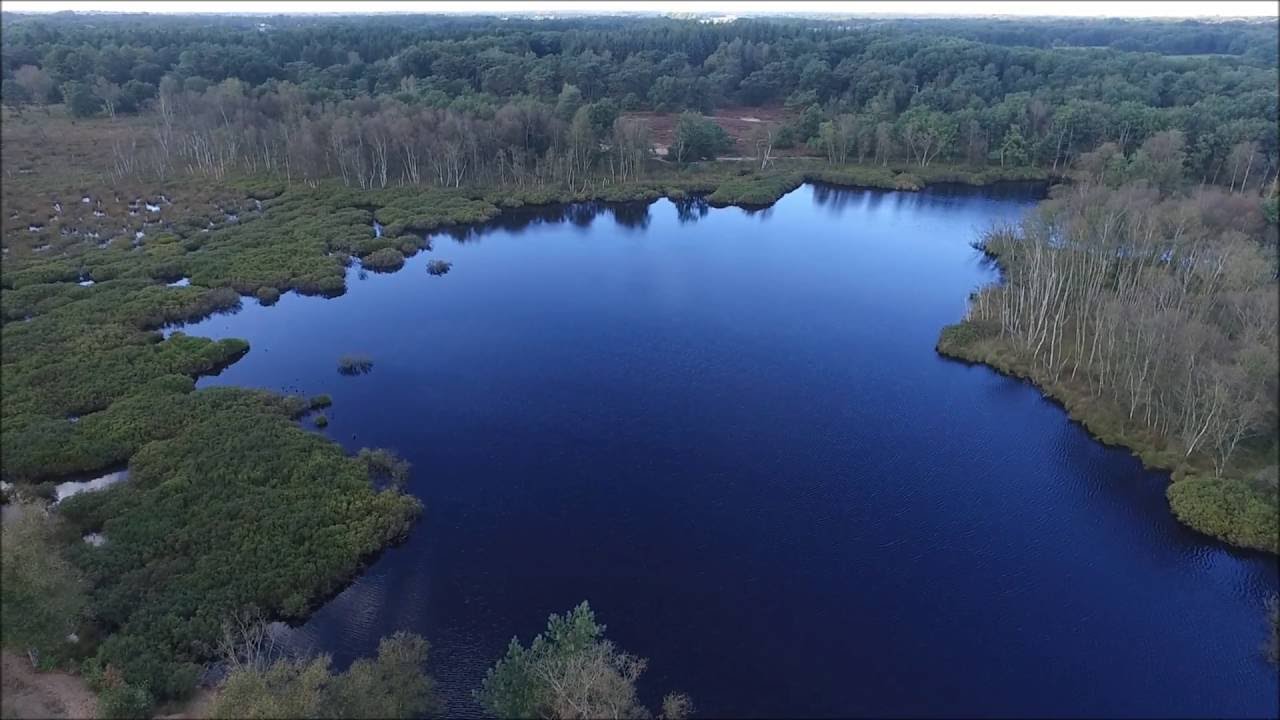 De Zeegser Duinen