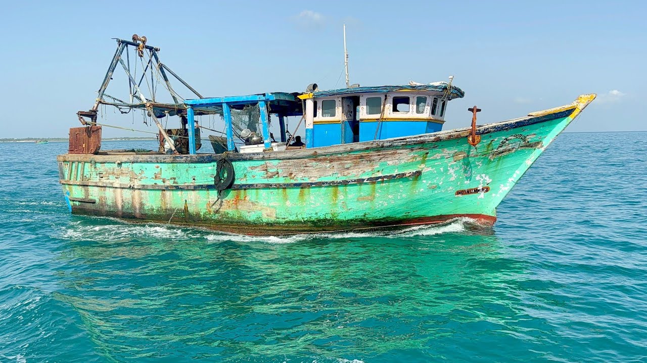 Ohh❗Prawn & Crab Catches Full Video Capture 💢 Indian Fishing adventure 