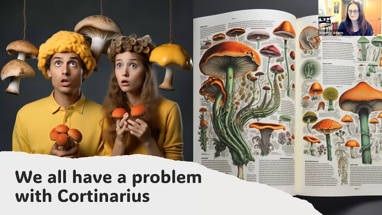 Cortinarius 101 &mdash; Введение в род. Презентация Шеннон Адамс, 13 сентября 2023 г.