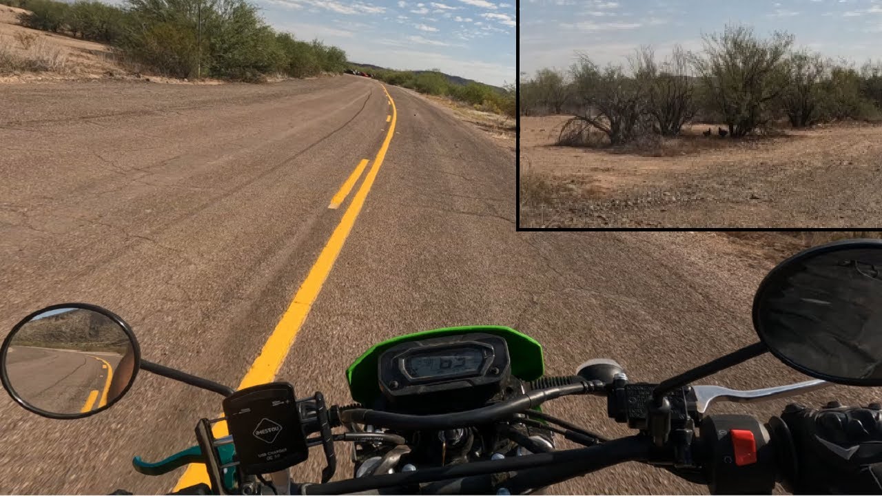 Roosters Abandoned in the Desert? 2023 KLX 230 SM (Raw Audio)