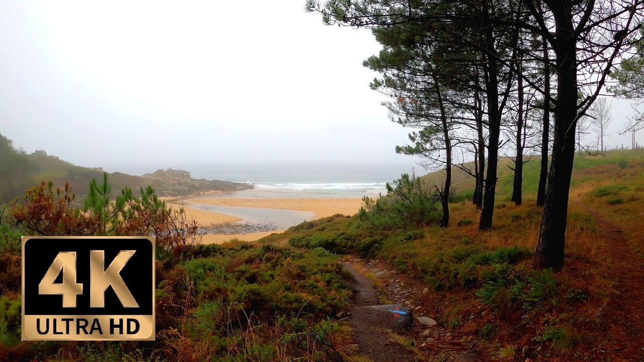 4K Virtual Nature Walk: A Misty Day Walking In The Forest & On The Coast. ASMR. Porto Do Son Galicia