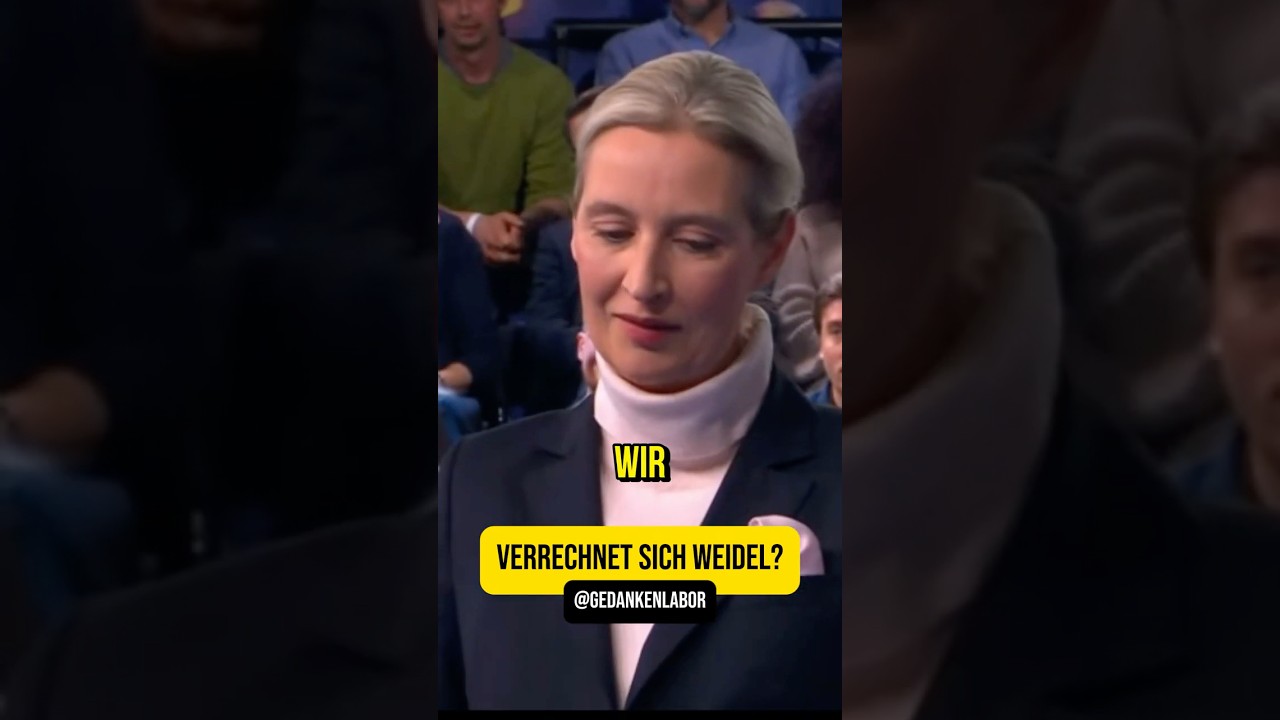 Verrechnet sich Alice Weidel? #afd #politik #energie #strompreise