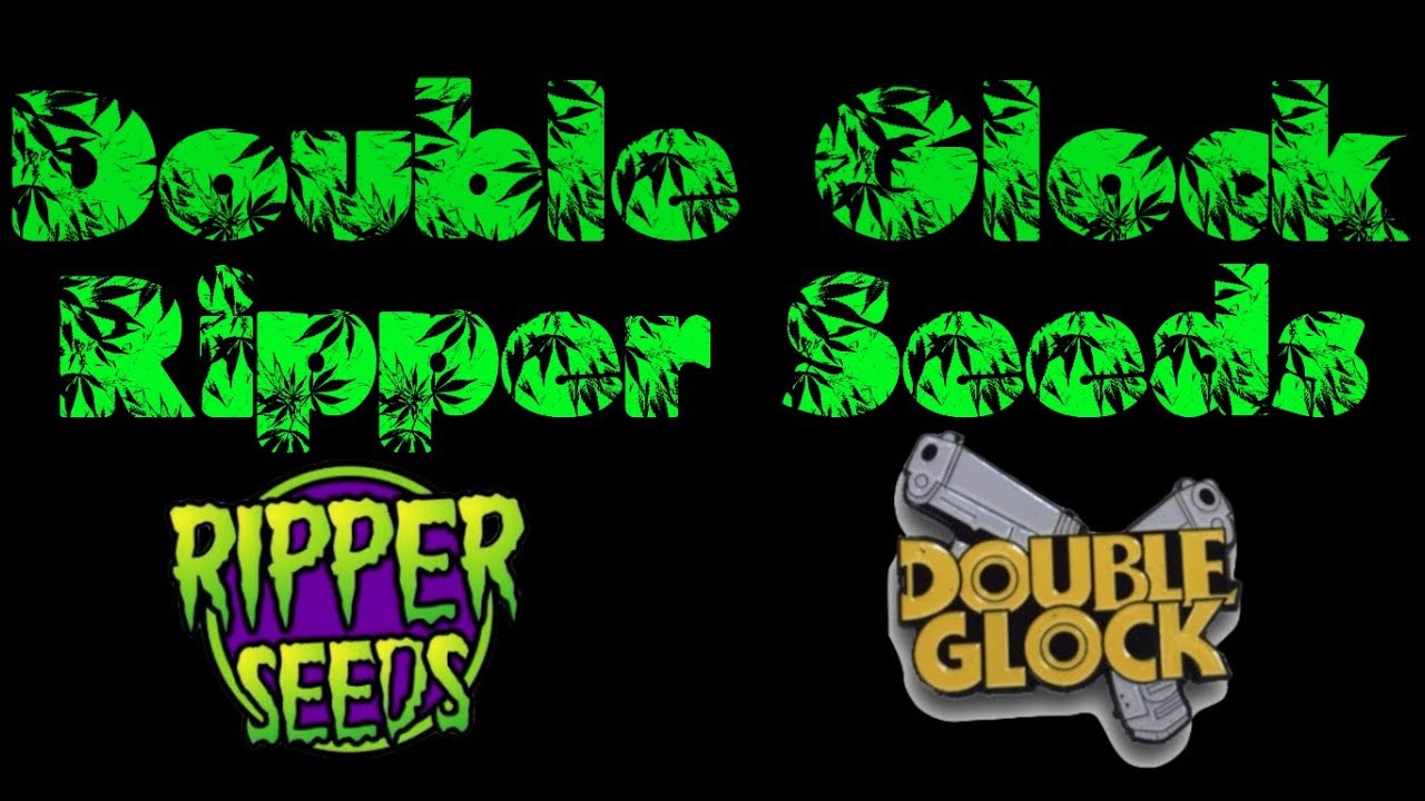 Double Glock from Ripper Seeds