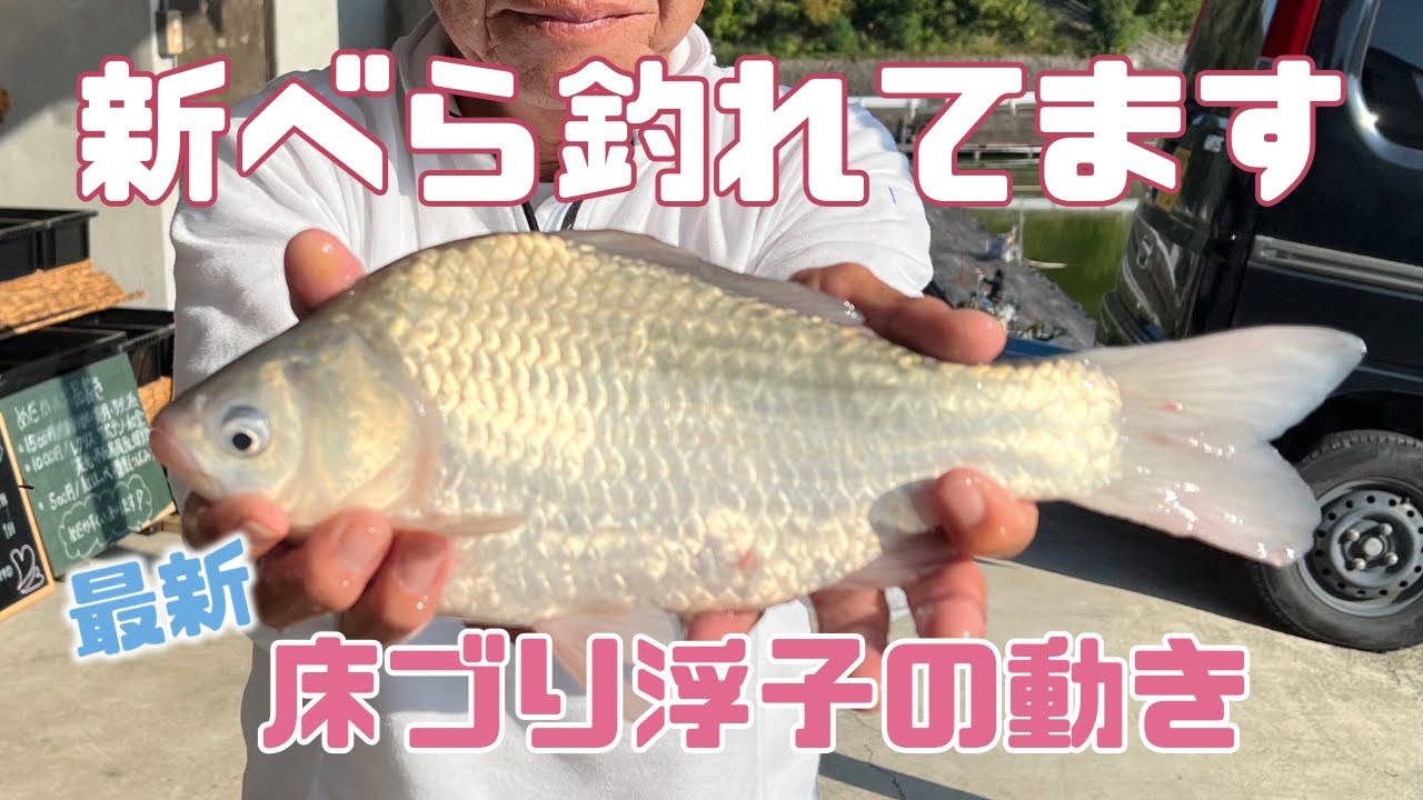 へら釣り【新べら釣れてます】