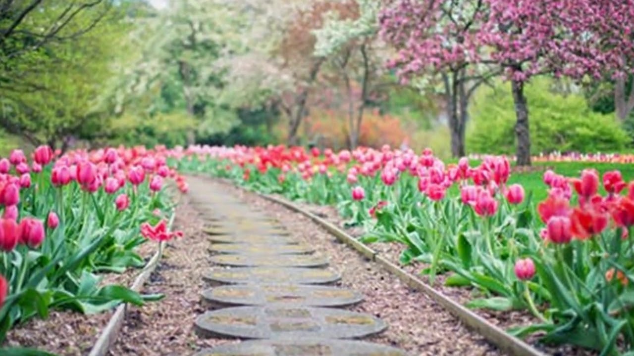 Hello Spring