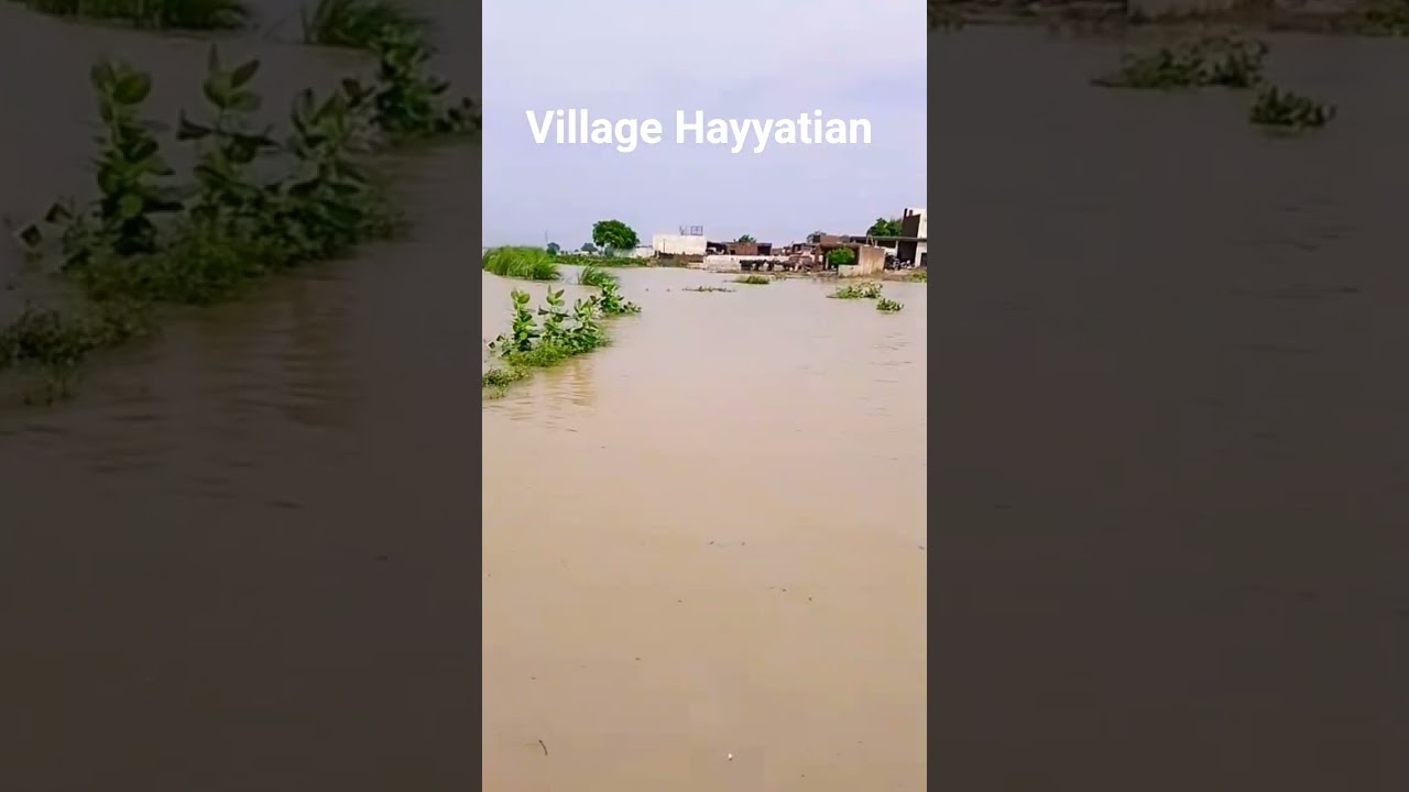 Heavy Flood in Punjab Pakistan district Gujranwala........# #viral #pakistan #travel #dawnnews #ajk