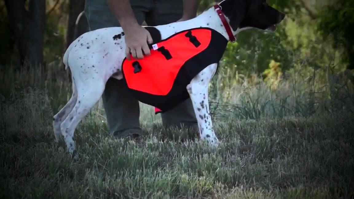 Body Guard Dog Vest