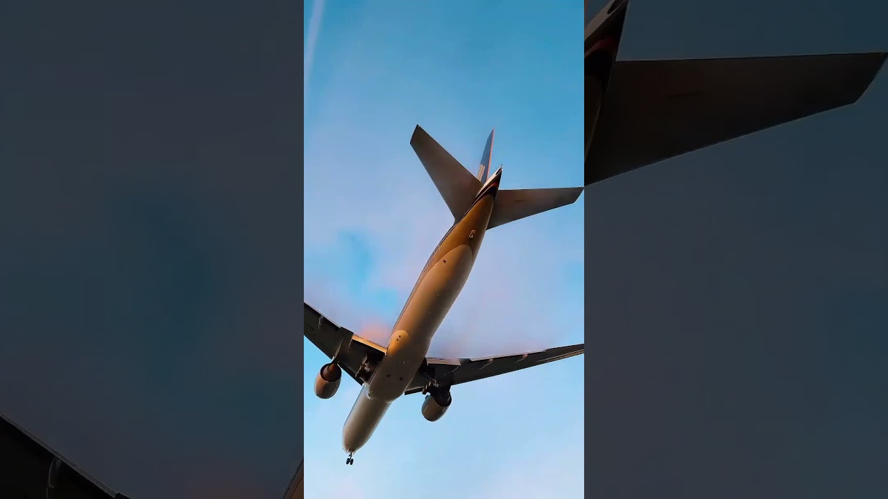 #plane #landing #aviation #flying #sunrise #aviationdaily #boeing #planespotter #planespotting