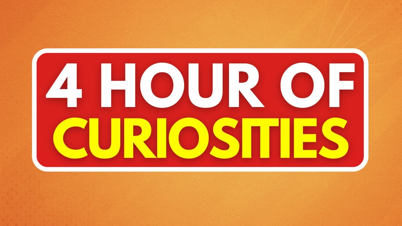 +4 HOURS of MIND-BLOWING Random FACTS | Zarpado Compilation