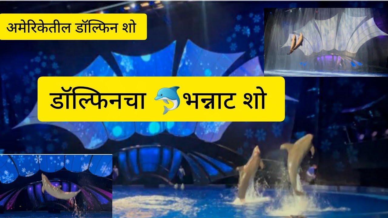 Georgia Aquarium Dolphin 🐬 Show |जबरदस्त अनुभव | jadhav in america 