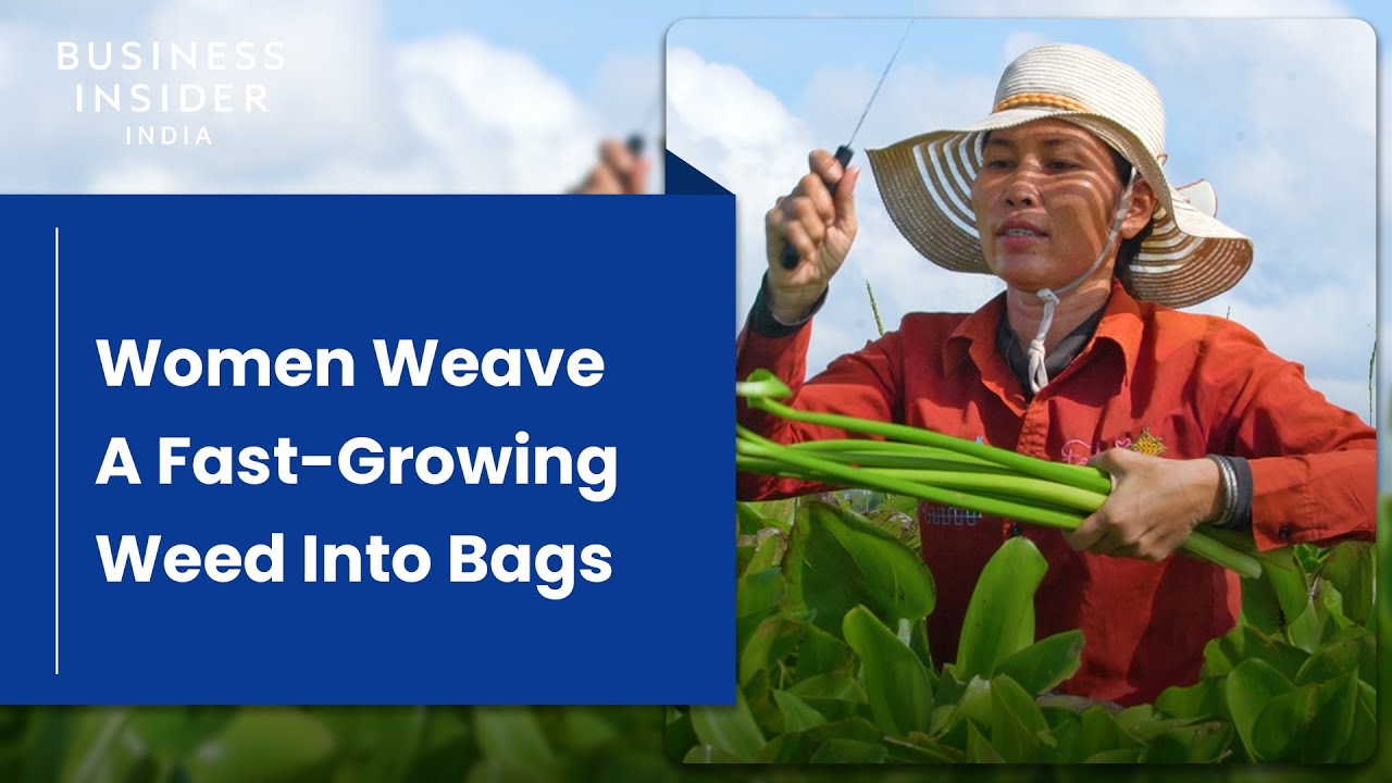 A Fast-Growing Weed Chokes Lakes In 50 Countries. Now Women Weave It Into Bags | World Wide Waste